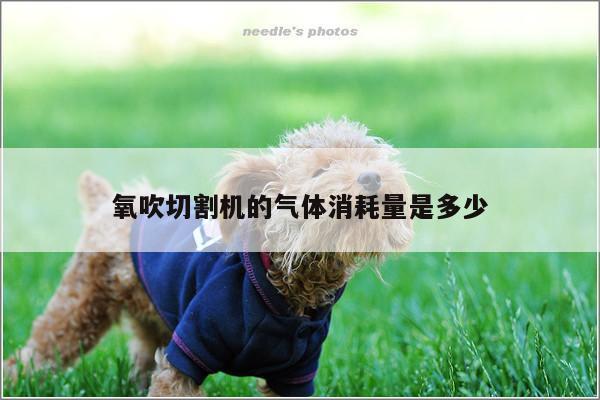 氧吹切割机的气体消耗量是多少_爱游戏(ayx)官方网站