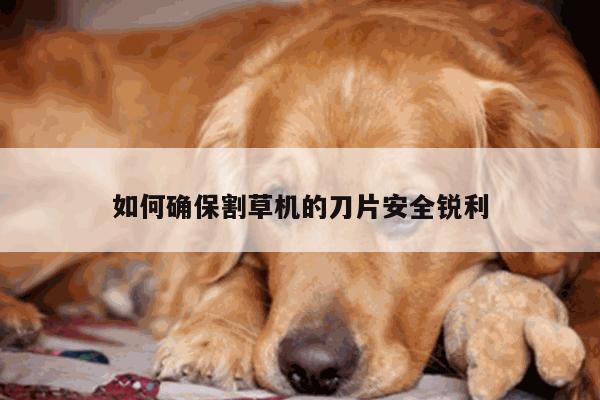 如何确保割草机的刀片安全锐利:爱游戏平台